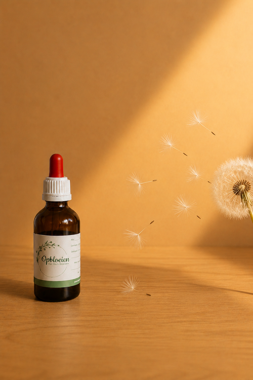 Flesje Lead from Behind, Bach bloesemmix voor leidinggeven op jouw manier