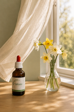 Flesje Sunny Side Up, Bach bloesemmix voor meer levenslust en licht