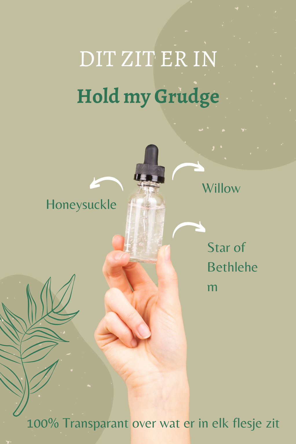 Overzicht van de Bach remedies in Hold my Grudge: Willow, Honeysuckle en Star of Bethlehem