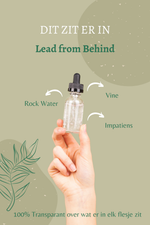 Overzicht van de Bach remedies in Lead from Behind: Vine, Rock Water en Impatiens