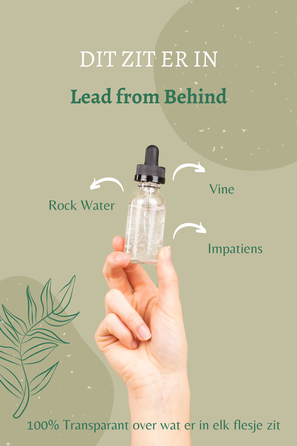 Overzicht van de Bach remedies in Lead from Behind: Vine, Rock Water en Impatiens