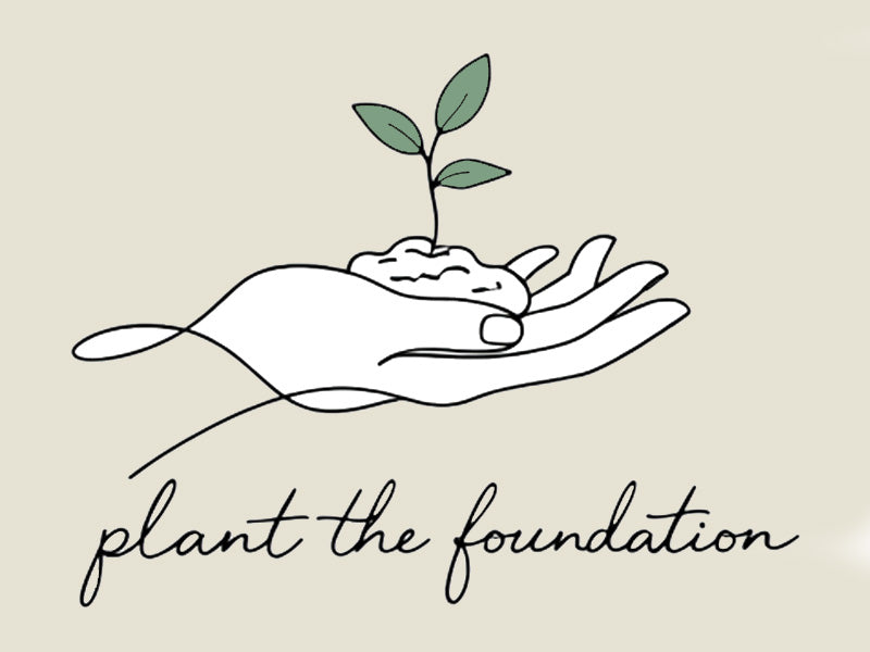 Plant the foundation