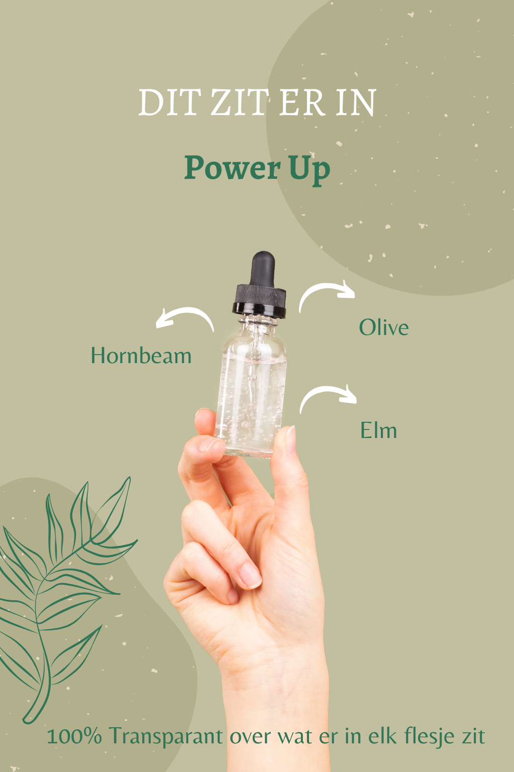 Overzicht van de Bach remedies in Power Up: Olive, Hornbeam en Elm