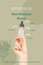Overzicht van de Bach remedies in Main Character Energy: Larch, Centaury, Walnut en Cerato